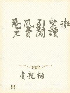 飞凰引紫微流年免费阅读