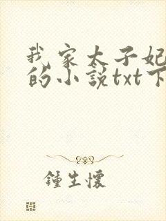 我家太子妃超凶的小说txt下载