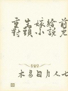 重生嫁给前夫死对头小说免费阅读