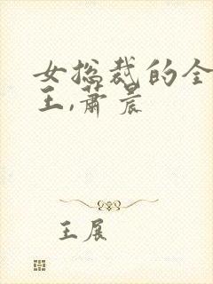 女总裁的全能兵王,萧晨