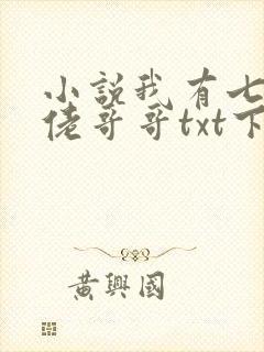 小说我有七个大佬哥哥txt下载
