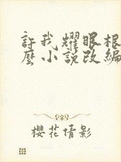 许我耀眼根据什么小说改编