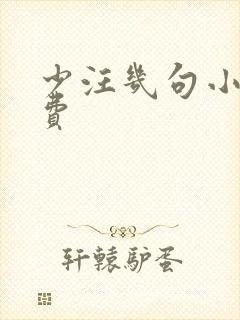 少汪几句小说免费