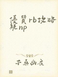 优质rb攻略系统np