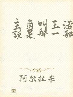 主角叫王浩的小说是哪一部