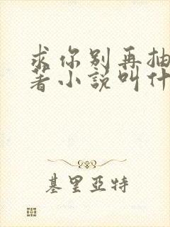 求你别再抽了原著小说叫什么