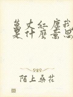 万丈红尘我等你是什么意思