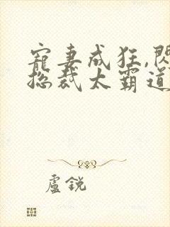 宠妻成狂,闪婚总裁太霸道