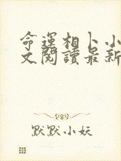 命运相卜小说全文阅读最新章节更新