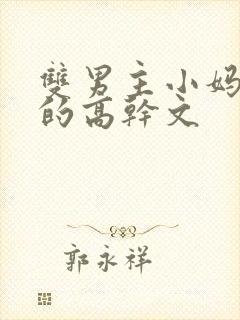 双男主小妈文学的高干文