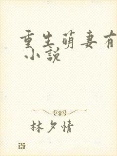 重生萌妻有空间 小说