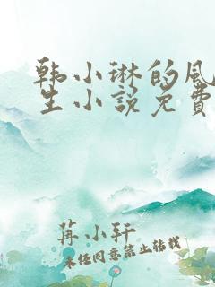 韩小琳的风流人生小说免费阅读全文