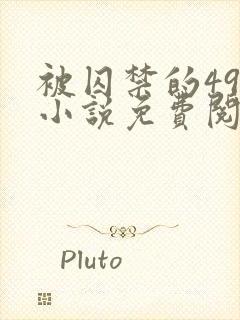 被囚禁的49天小说免费阅读