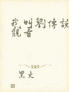 我叫刘传说免费观看