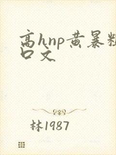 高hnp黄暴粗口文