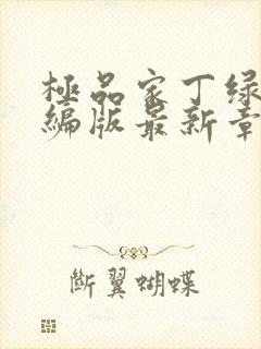 极品家丁绿帽改编版最新章节免费阅读