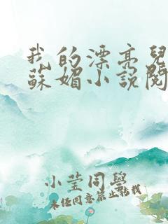 我的漂亮儿媳妇苏媚小说阅读免费