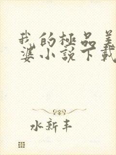 我的极品美女老婆小说下载
