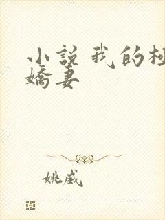 小说 我的极品娇妻
