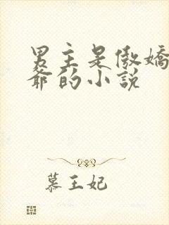 男主是傲娇小少爷的小说