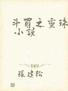 斗罗之灵珠神剑 小说