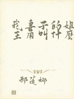 我妻子的姐姐女主角叫什么