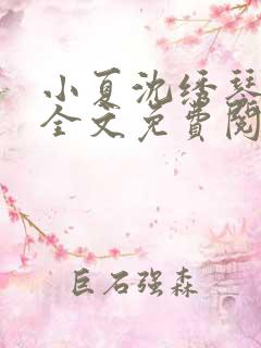 小夏沈绣琴小说全文免费阅读