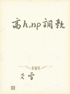 高h,np调教