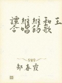 谭维维和王赫野合唱的歌