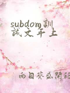 subdom训诫文年上