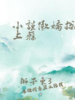 小说傲娇总裁宠上瘾