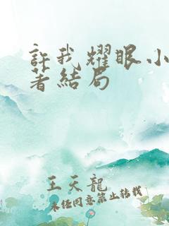 许我耀眼小说原著结局