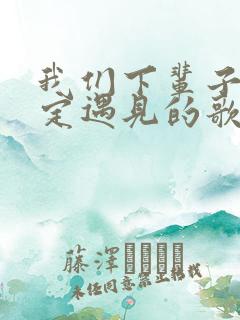 我们下辈子不一定遇见的歌词