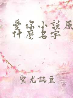 爱你小说原著叫什么名字