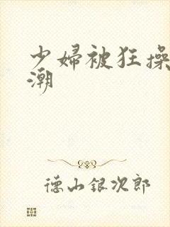 少妇被狂操到高潮