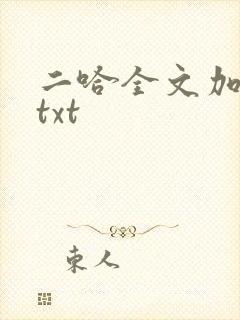 二哈全文加番外txt