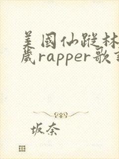 美国仙踪林19岁rapper歌词中文版