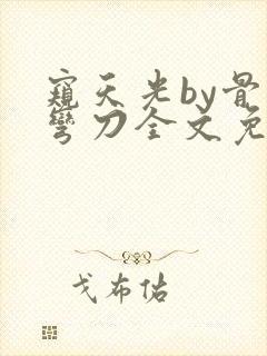 窥天光by骨色弯刀全文免费阅读笔趣阁