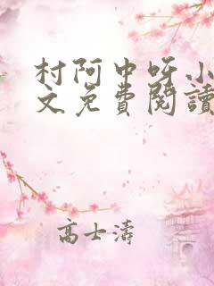村阿中呀小说全文免费阅读