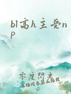 bl高h主受np