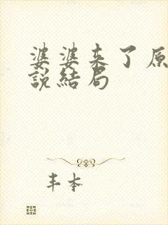 婆婆来了原著小说结局