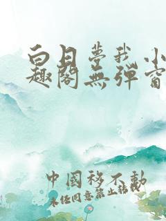 白日梦我小说笔趣阁无弹窗