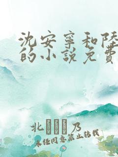 沈安宁和陆夜霖的小说免费阅读