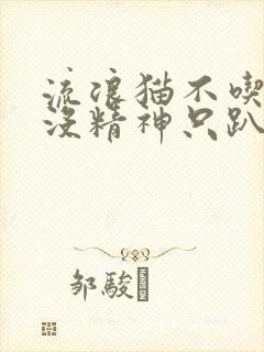 流浪猫不吃不喝没精神只趴着