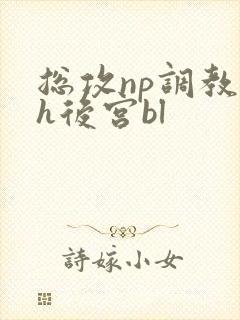 总攻np调教高h后宫bl