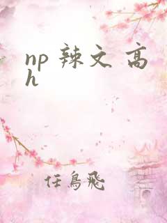 np 辣文 高h