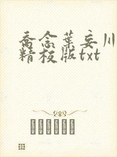 乔念叶妄川完整精校版txt