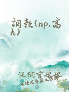 调教(np,高h)