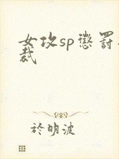 女攻sp惩罚总裁