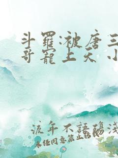 斗罗:被唐三哥哥宠上天 小说